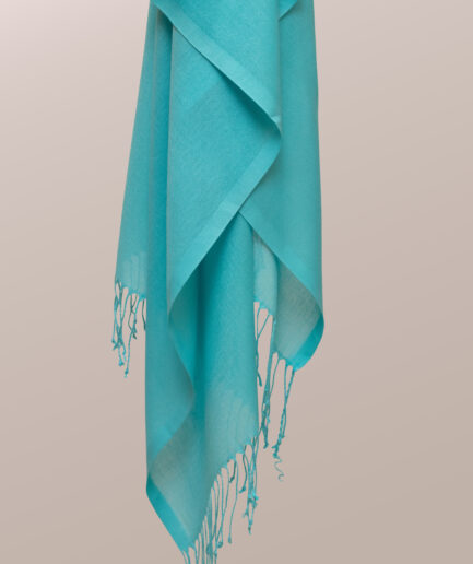 Pashmina Scarf with Tassels- Sky Blue
