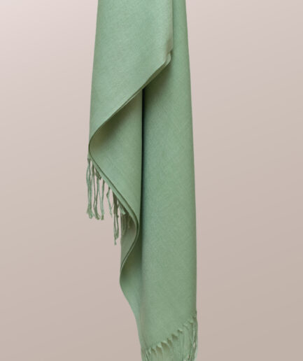 Pashmina Plain Scarf with Tassels - Pistache