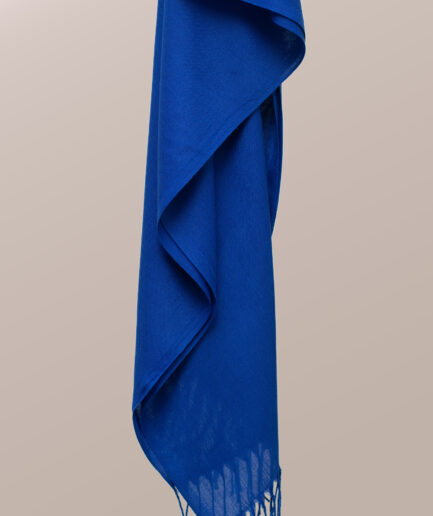 Pashmina Plain Scarf with Tassels - Nile Blue