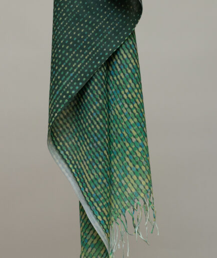 Pashmina Printed Scarf with Tassels - Green Twinkle